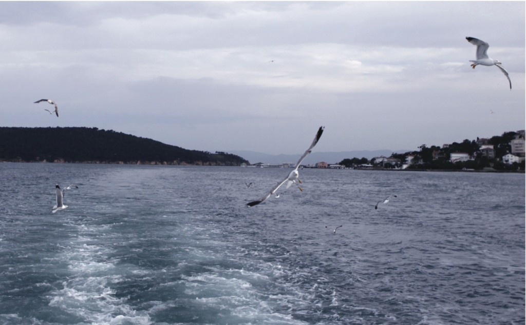 Et nous jetterons la mer derrière vous - visuel