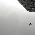 Ce film tente de retracer le voyage de deux lecteurs souhaitant prolonger avec du son et des images quelque chose d’un livre qui ne se tait pas après avoir été refermé.
Un film autour de Château-rouge Hôtel de Renaud Burel, paru chez Allia en 2013.

 
Réalisation Yan et Julie Rambaud – La Boite Carrée – 24min30 – 2014
 https://vimeo.com/113032669
 
Production La [...]